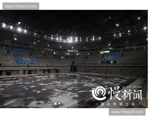 体育投资新机遇：如何抓住未来市场潜力实现稳健回报